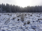 18 wiwa24 winterwald