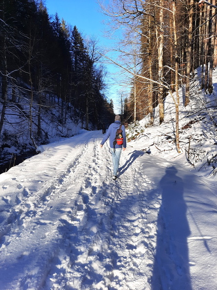 36_wiwa24_eisenbach_weg_oli.jpg