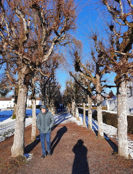 39_wiwa24_zeil_allee_berb.jpg